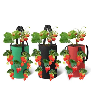 3 Gal 12 găuri de Căpșuni cresc potul saci de Plante cu Flori Roșii în Creștere în Grădină Agățat de perete de Legume Rădăcină de Plantare Reutilizabile Ei