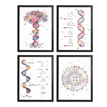 ADN-ul Codul Genetic Acuarelă Poster Set Adn Copac Decor de Birou Știință Arta de Perete Biologie Arta Codul Genetic Cerc de Artă Chimie