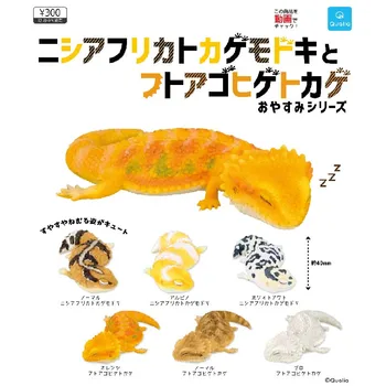 Japonez Autentic QUALIA Gashapon Jucarii Capsule de Dormit Gecko Leopard Gene Amfibieni Jucărie Ornamente